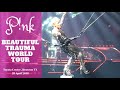 CONCERT: Pink Beautiful Trauma World Tour in Houston TX