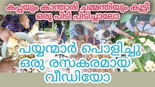 കപ്പയും കാന്താരി ചമ്മന്തിയും കൂട്ടിഒരു പിടി പിടിച്ചാലോപയ്യന്മാർ പൊളിച്ചു രസകരമായ വീഡിയോ