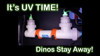 Adding a UV sterilizer to my new reef tank build. Stay AWAY Dinos!