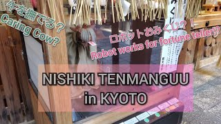 【4K】NISHIKI TENMANGUU in Kyoto||おみくじロボット錦天満宮