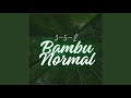 3-5-2, Bambu Normal