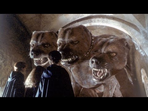 What does Harry suspect the three-headed dog is hiding?