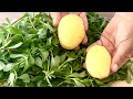 4K | The Best Purslane Salad I Have Ever Eaten | Please Enable Subtitles 🌏⚙