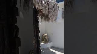 Steevo's video tour of Villa Sol, Club Cascadas de Baja