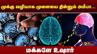 மூக்கு வழியாக மூளையை தின்னும் அமீபா... மக்களே உஷார்! Brain Eating Ameoba | PTD