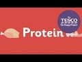 Why Do Our Bodies Need Protein?