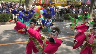 2018・彩夏祭(公園通り南)北天魁/1本目