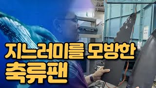 혹등고래의 지느러미를 모방한 축류팬 [핫클립 유레카] / YTN 사이언스