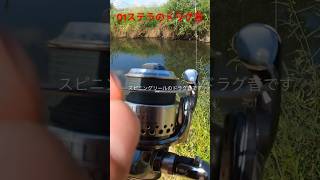 シマノ01ステラ、スピニングリールのドラグ音です！！#shorts #スピニングリール #ドラグ音#fishing#バス釣り #淀川 #bassfishing