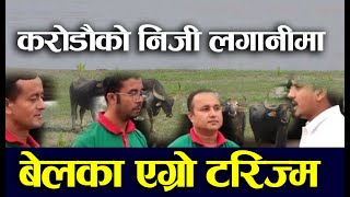 BELAKA EGRO TOURISM करोडौको लगानीमा बेलाका  एग्रो, बिदेशमा सिकेर  तिन भाईले  गरे  परिबर्तन नेपालमा