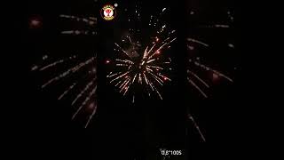 0.8 inch 100 shot cake fireworks demo test