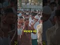 মুসলিম বিশ্ব muslim world muslim army techduniya