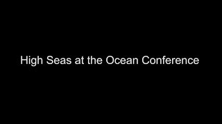 High Seas Alliance at the Ocean Conference