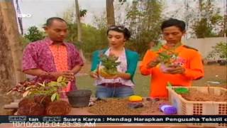 [ANTV] TOPIK Unik, Tanaman Hias Kokedama