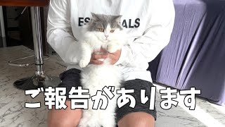 【ご報告】今後の活動について。