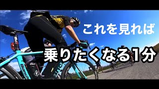 1分でロードバイクに乗りたくなる動画