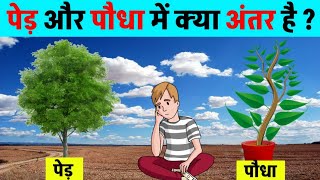 पेड़ -पौधे में क्या अंतर है? // ped poudha me antr// #studysantosh