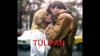 Tulipan - Serial 1986 odcinek 6