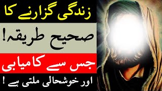 Kamyab Zindagi Guzarne Ka Tarika | Imam Ali as Aqwal Urdu | Mehrban Ali