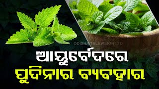 Stay Fit | Know benefits of mint leaves