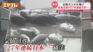 27年連続！「生鮮カツオ」水揚げ日本一が確実＜気仙沼＞【ミヤテレNEWS NNN】