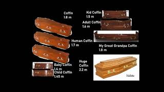 Coffin Size Comparison