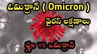 Omicron Symptoms in Telugu ( ఒమిక్రాన్ వైరస్ లక్షణాలు )