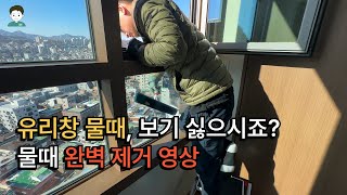 유리창 물때, 보기 싫으시죠? 물때 완벽제거 영상