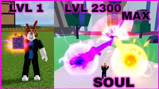 Noob To Pro | Noob Uses Soul Fruit ( Devil Fruits ) I Reached Level Max In Blox Fruits
