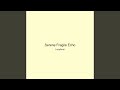 Serene Fragile Echo
