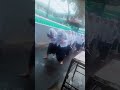 anak sekolah pulang nyah ke hujanan