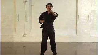 Preview: Austin Goh - Wing Chun for Advanced