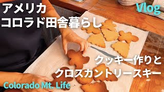 【アメリカ生活】クリスマスにGFジンジャークッキー/冬のエクササイズはクロスカントリースキー/Ginger cookies/GF cooking/Cross-country ski/Vlog