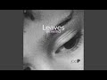 Leaves (Acoustic)