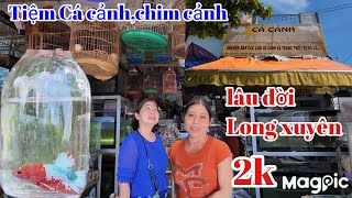 Tiệm Cá cảnh chim cảnh ,thú cưng Thanh Tuyền lâu đời giá hợp lý tại phường Mỹ Bình TP Long xuyên AG.