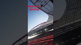 benfica Sporting