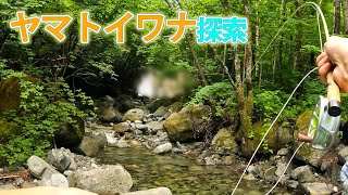 【フライフィッシング】【長野県】木曽でヤマトイワナ探索 - その３