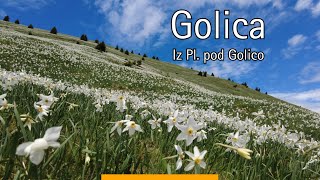 Golica in sprehod med narcisami | Planina pod Golico | Družinski vzpon