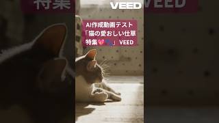 AI作成動画テスト「猫の愛おしい仕草特集💖🐾」 VEED #ChatGPT #AI #ねこ