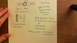 Topoisomerase Inhibitors Part 2