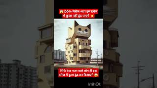 यहां एक बिल्ली नजर आ रही है आप कुता दिखाएं 🦮 😻#funny #viral #cat #dog #youtuber #youtubeshort