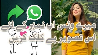 Kanwal Aftab on Whatsapp. Add Me on Whatsapp and let's Chat