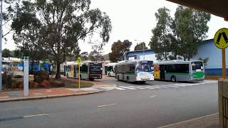 [Withdrawn] Transperth Mercedes-Benz OC500LE Midi (Volgren CR228L) TP1597 Departs Armadale Station