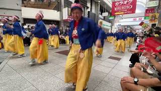 2023年高知よさこい祭り2日目 帯屋町筋 やいろ