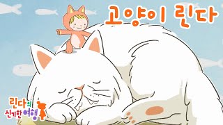 🌈린다의 신기한 여행  본편 | 고양이 린다 🐈 | 커다란 고양이를 찾으러 가자! 🐈