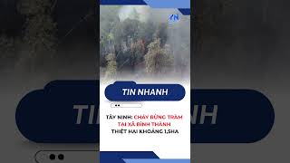 Tây Ninh: Cháy rừng tràm tại xã Bình Thành, thiệt hại khoảng 1,5ha | TayNinhTV