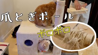 キャットタワーの爪とぎポール交換したら、パパ主まさかの失敗？！