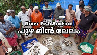 പുഴ മീൻ ലേലം | River Fish Auction in Kerala | River Fish Catching | River Fish Wholesale Market