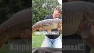 #karper #kanaal #karpers #karpervissen #ferencfishing #vissen #vistv #carpfishing #run