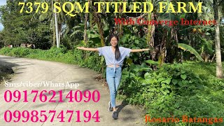 Vlog494: 7379 SQM TITLED  FARM WITH CONVERGE INTERNET FOR SALE IN ROSARIO BATANGAS PHILIPPINES